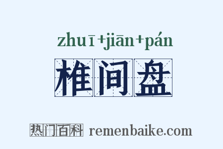椎间盘是什么意思的图片